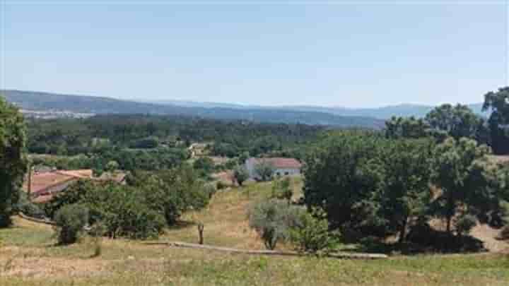 Maison à vendre à Poiares (Santo André)