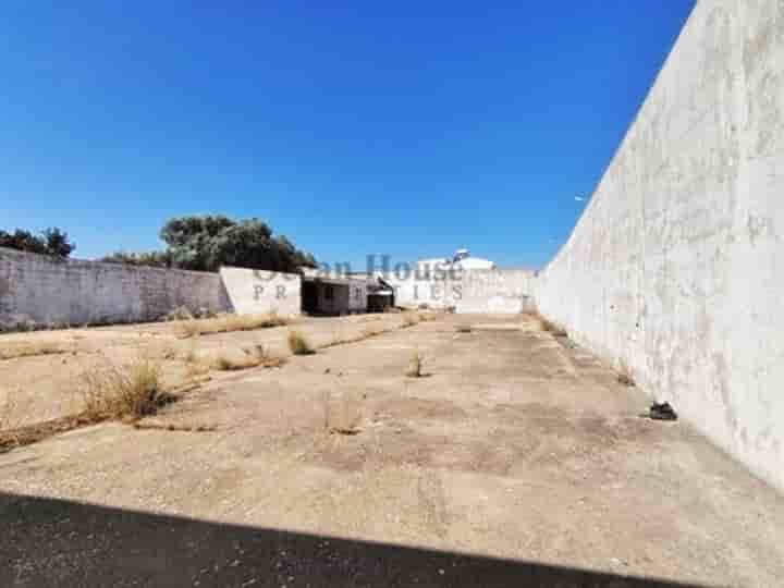 Apartamento para venda em Ferreiras