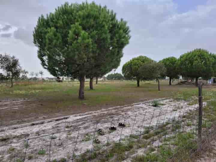 property.type.building zum Verkauf in Grândola e Santa Margarida da Serra