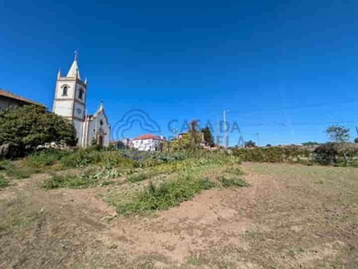 Autre à vendre à São Miguel de Outeiro e Sabugosa