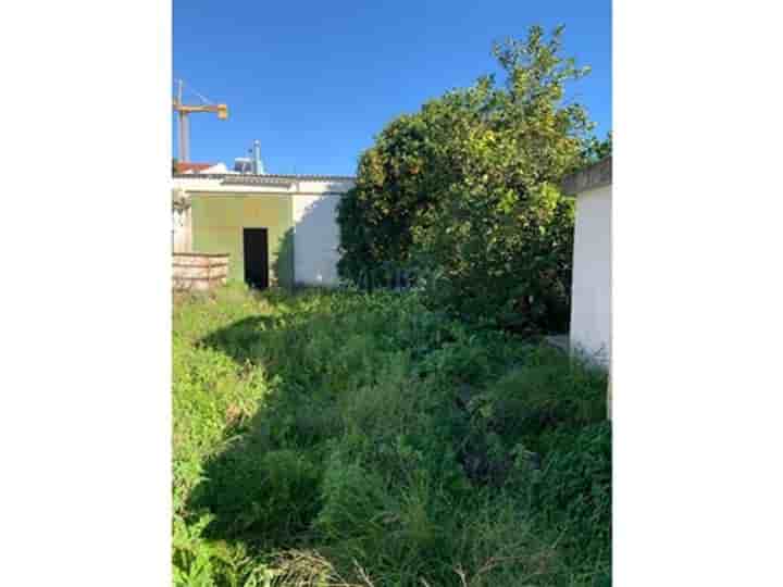 Autre à vendre à Montijo e Afonsoeiro