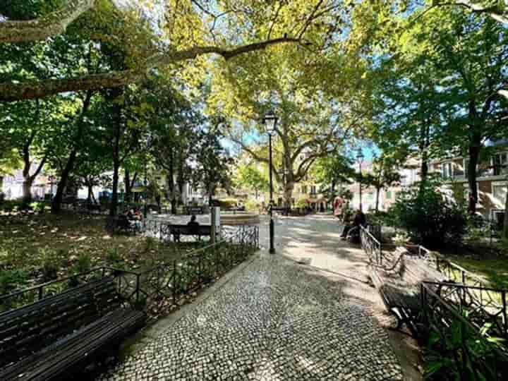 property.type.building for sale in Misericórdia