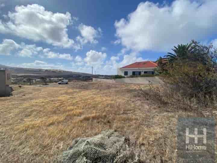 Autre à vendre à Porto Santo Island