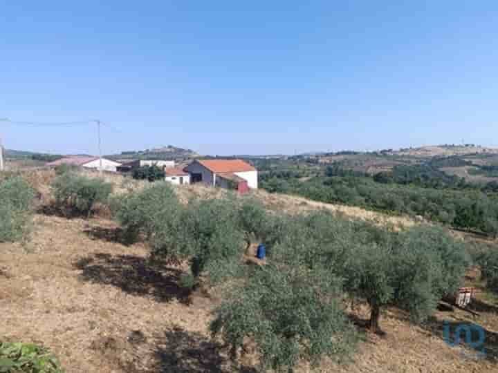 Altro in vendita a Lagoaça e Fornos