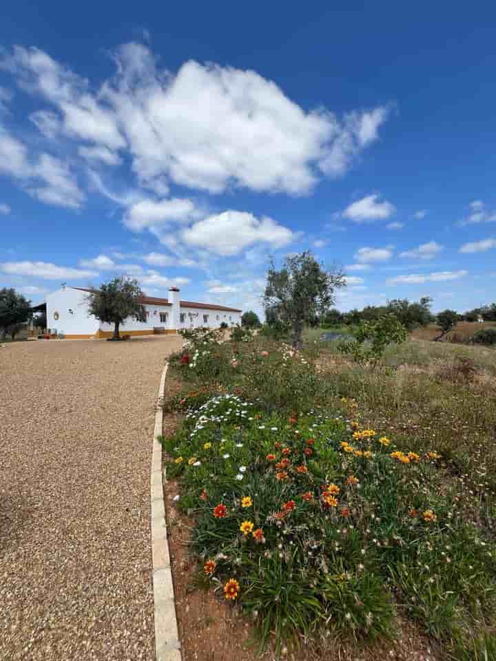 Hus till salu i Ferreira do Alentejo e Canhestros