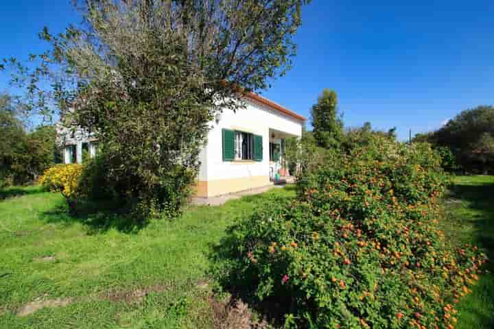 Maison à vendre à Aljezur