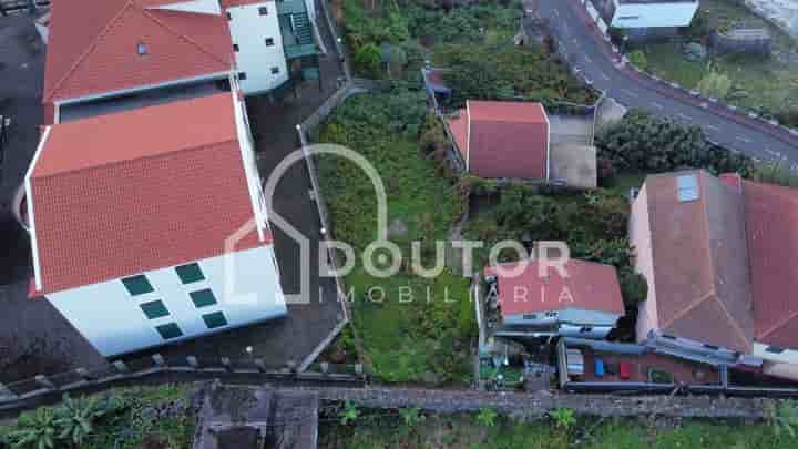 Altro in vendita a Porto Moniz