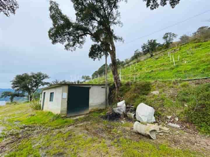 Övrigt till salu i Santa Cruz do Douro e São Tomé de Covelas