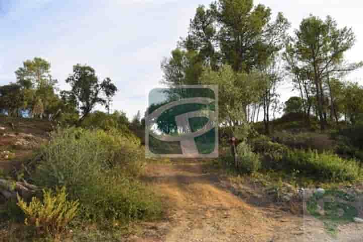 Other for sale in Pontével