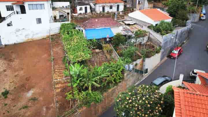 Outro para venda em São Roque (Funchal)