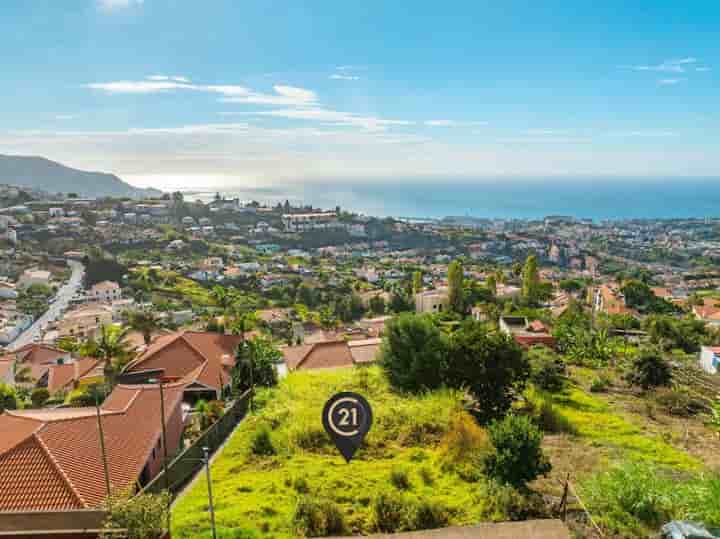 Autre à vendre à São Roque (Funchal)