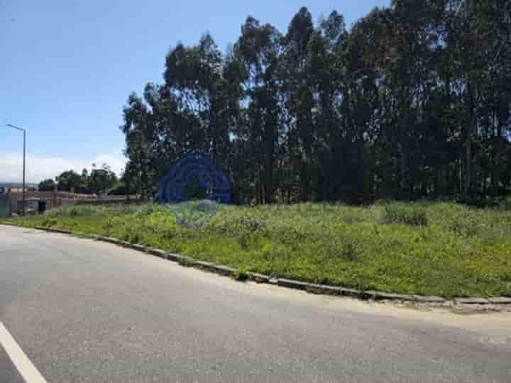 Casa para venda em São João De Ver