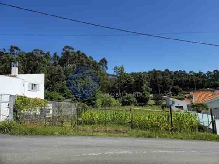 Sonstiges zum Verkauf in São João De Ver