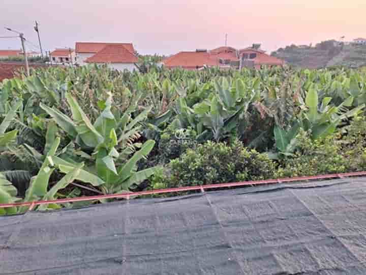 Casa para venda em Ponta Do Sol