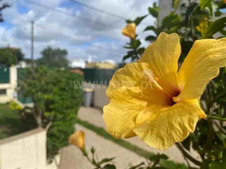 Hus till salu i Charneca De Caparica