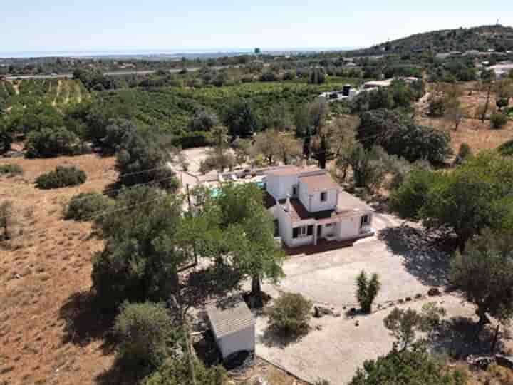 Maison à vendre à Boliqueime