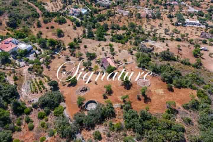 Autre à vendre à Santa Bárbara De Nexe