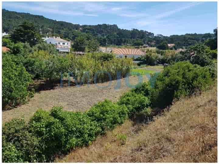 Other for sale in Alcabideche