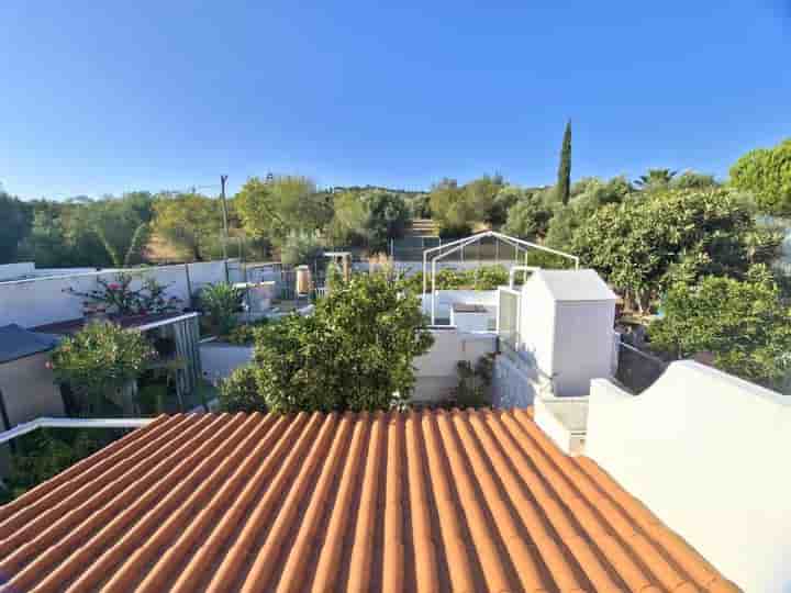 Maison à vendre à São Brás De Alportel