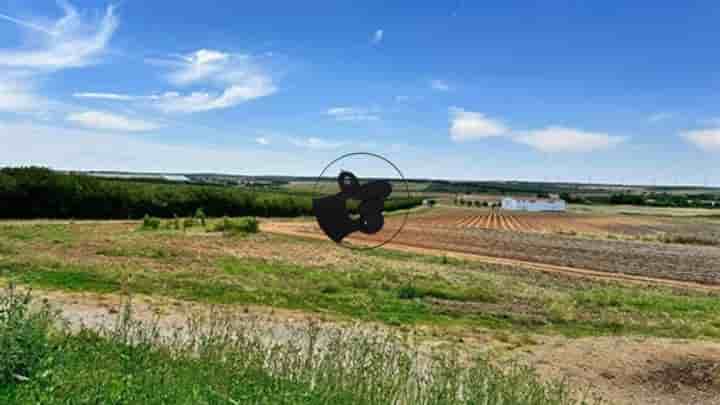 Casa para venda em Ferreira do Alentejo e Canhestros