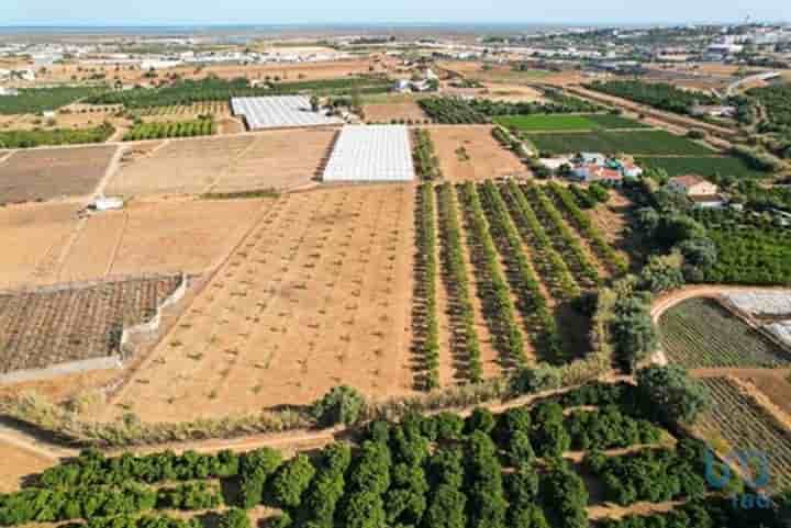 Outro para venda em Faro (Sé e São Pedro)