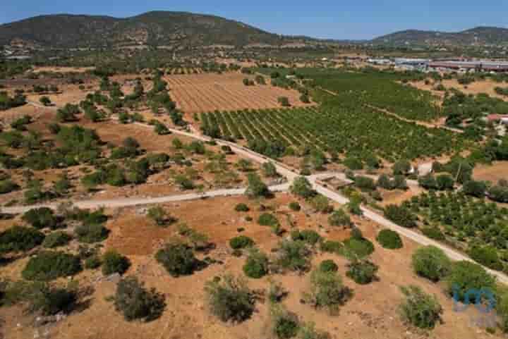 Altro in vendita a Santa Bárbara De Nexe