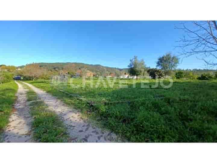 Maison à vendre à Ferreira Do Zêzere