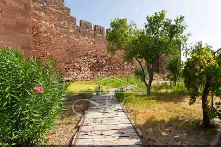 Other for sale in Silves