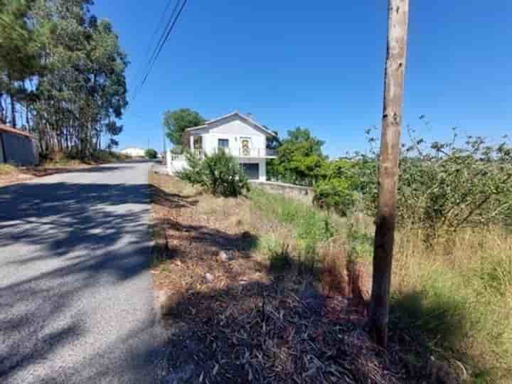 Other for sale in Salir De Matos