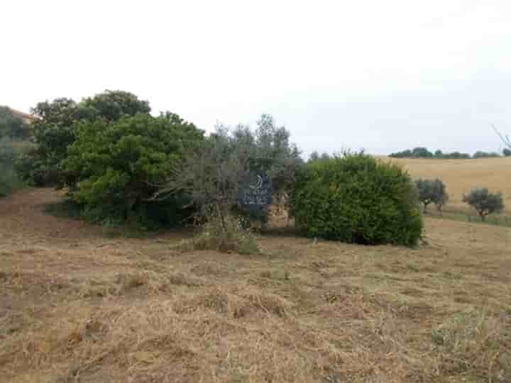 Övrigt till salu i Achete, Azóia de Baixo e Póvoa de Santarém