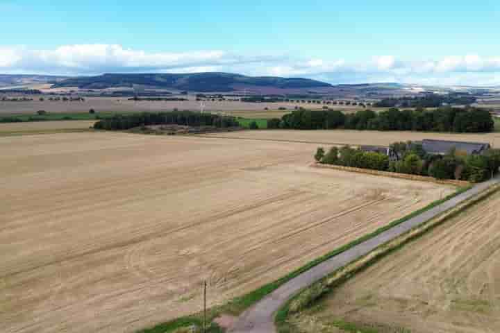 Maison à vendre à Lyall Way‚  Laurencekirk‚ AB30