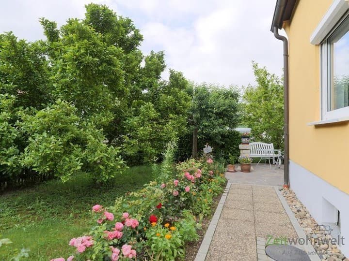 House for rent in Dresden                   - Dresden, Germany - Image 17