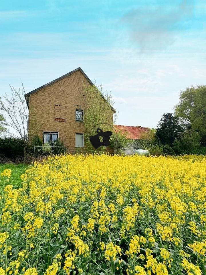 Other for sale in Salzhemmendorf                   - Niedersachsen, Germany - Image 19