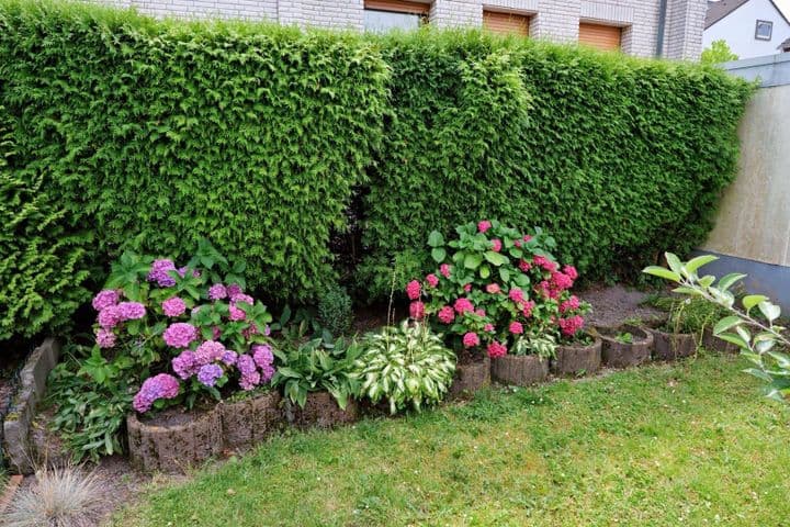 House for sale in 9                   44289 Dortmund                   - Nordrhein-Westfalen, Germany - Image 4