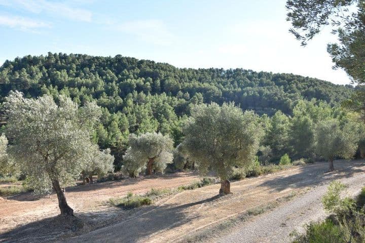 House for sale in Arens de Lledo, Spain - Image 8