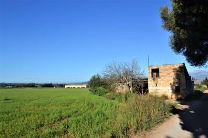 1 bedroom house for sale in Mallorca, Spain - Image 2