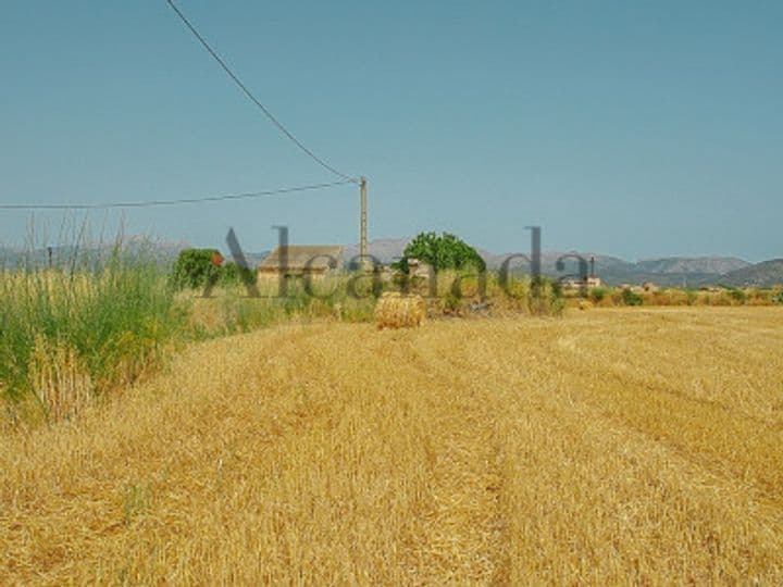 House for sale in Mallorca, Spain - Image 3