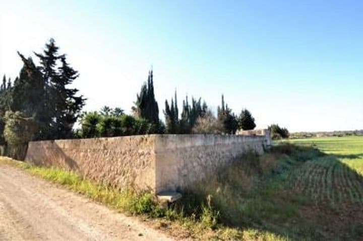 1 bedroom house for sale in Mallorca, Spain - Image 12