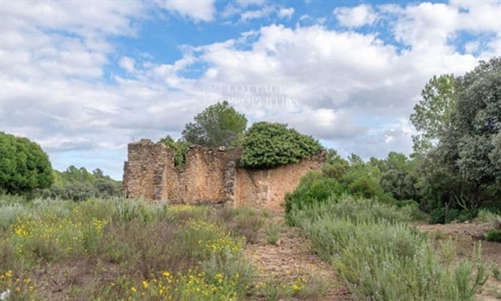 Other for sale in Cruilles, Spain - Image 4