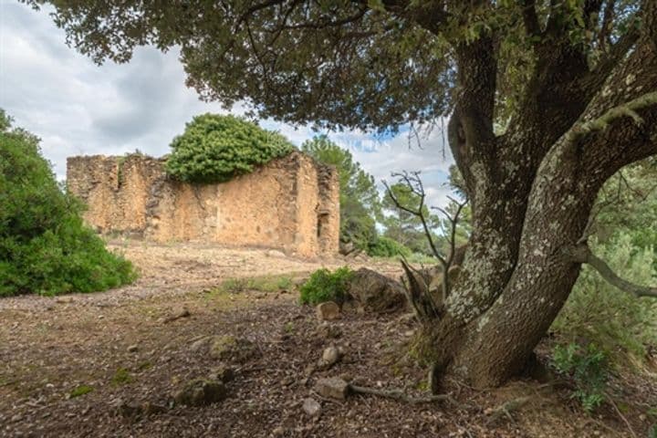 Other for sale in Cruilles, Spain - Image 6