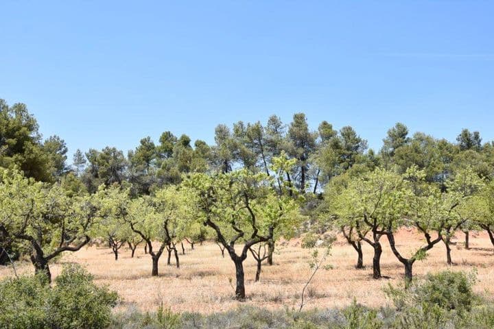 House for sale in Matarrana, Spain - Image 5