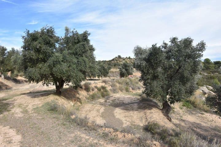 House for sale in Matarrana, Spain - Image 10