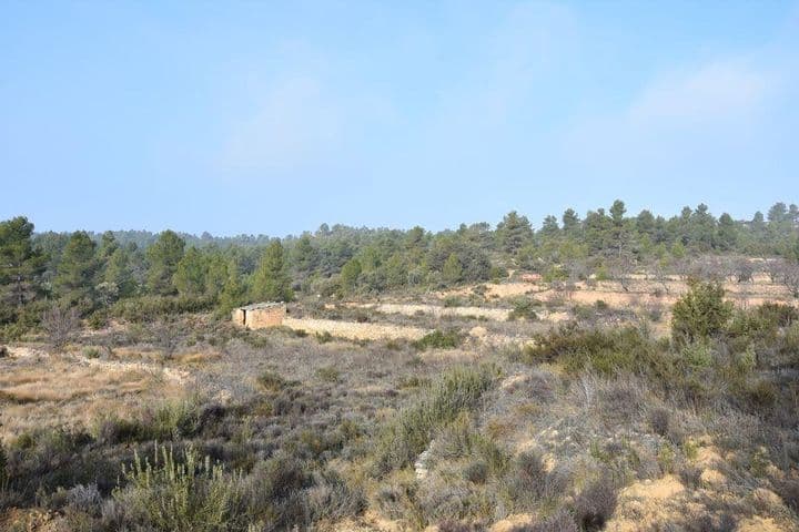 House for sale in Matarrana, Spain - Image 6