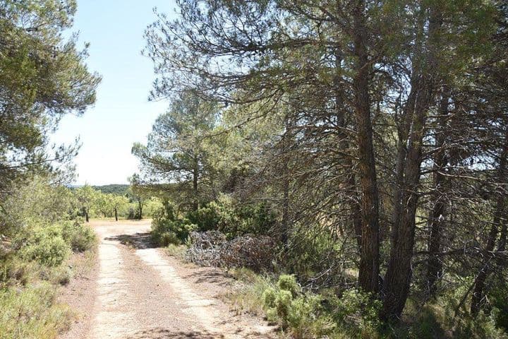 House for sale in Arens de Lledo, Spain - Image 7