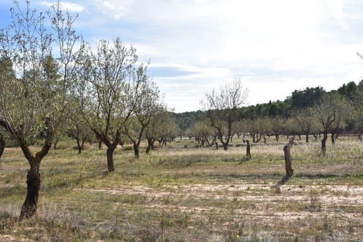 House for sale in Matarrana, Spain - Image 7