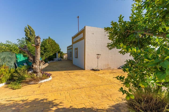 3 bedrooms house for sale in La Palma del Condado, Spain - Image 7