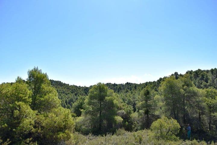 House for sale in Valderrobres, Spain - Image 3