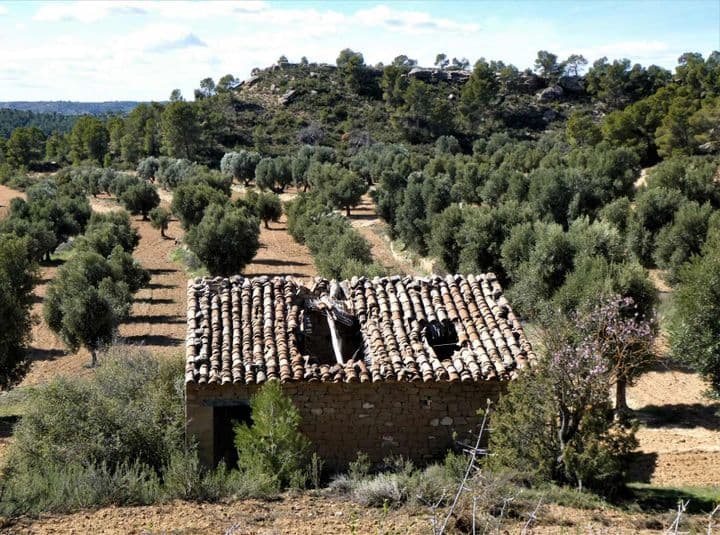 House for sale in Maella, Spain - Image 3