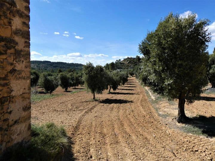 House for sale in Maella, Spain - Image 8