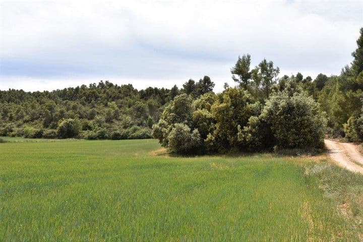 House for sale in Valderrobres, Spain - Image 4